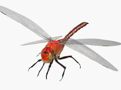  Red Dragonfly Fur Rigged 
