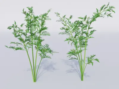 Vegetable patch Low-poly 3D model