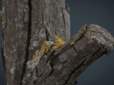 Wood Log 4 Low-poly 3D model