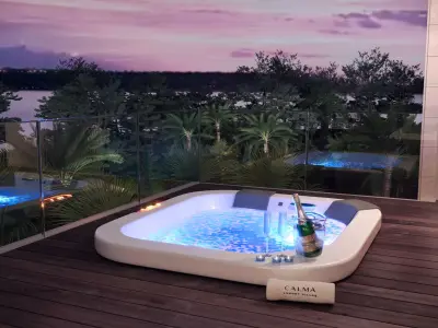 Jacuzzi bottle of champagne in ice bucket 3D model