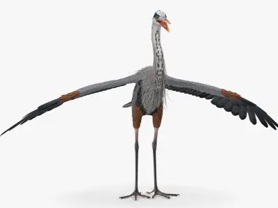  Realistic Great Blue Heron 