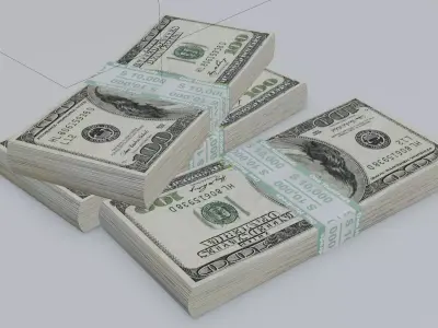 One hundred dollar package in 3D 3D model