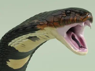  Attack Dark Skin Cobra Animated Rigged for Cinema 4D 