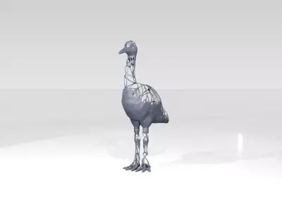 Crane Dust Voronoi 3D model