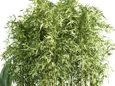Stone and Bush Pack 21 3D model