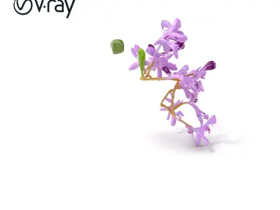 Vibrant Water Hyacinth Plant D model pack Low-poly 3D model