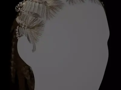 Game Ready Female Hair 3D Model with PBR 2K textures 3D model