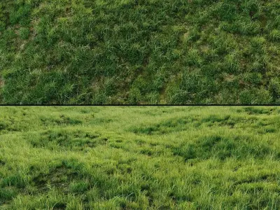 Grass for landscaping exterior  3D model