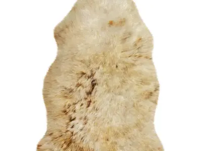 Animal skin rug 02 3D model