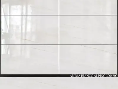 Caesar Anima Bianco Alpino 300x600 3D model