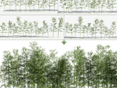  Bamboo Trees 3 (+GrowFX) 
