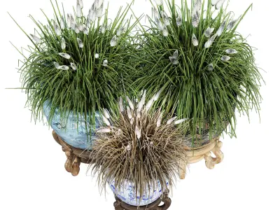 Porcelain grass 3D model
