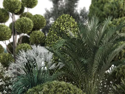Group outdoor plants  Hedges 2 3D model