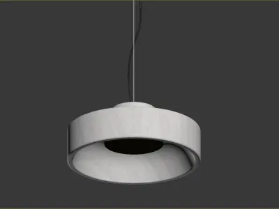 Atipico Pesi 3D model