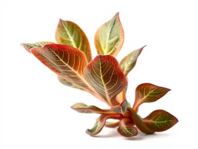 Vibrant Tropical Foliage model pack Low-poly 3D model