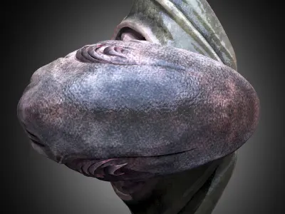 Xenovoid Sentinel 3D model