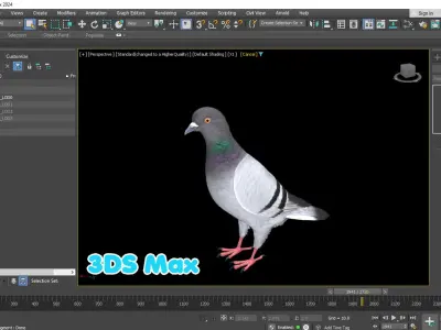  Realistic Animated Rock Pigeon Low-poly 