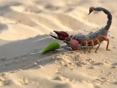  Hunting Scorpion Animated Rigged 
