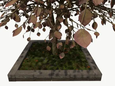 URBAN Autumn TREE Free 3D model