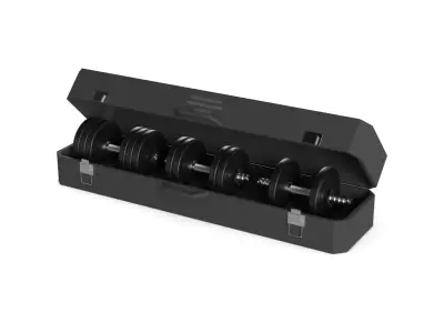 Sports products Dumbbell Set 3D model