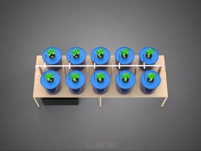 BATO CULTIVATION FRUITS VEGETABLES PLANT HYDROPONIC FARM GARDEN 3D model