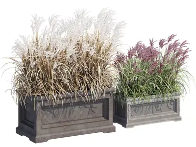 Le Notre Rectangle 3D model