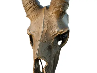 Big Horned wendigo head 3D model