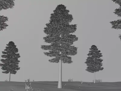 Nature Scene with Realistic Pine Tree 3D model