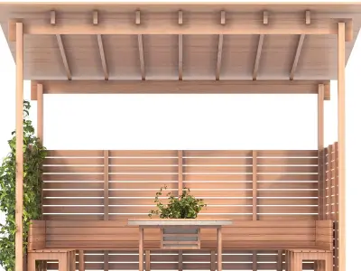 Backyard Gazebo 3D model