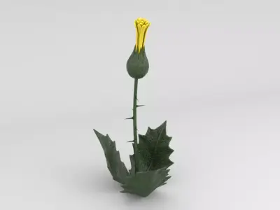 plant Low-poly 3D model get