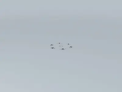 City Grid with no stop lights Free 3D model