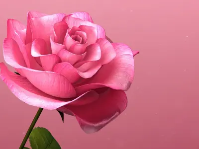  3d Rose Animated Rose Bloom 