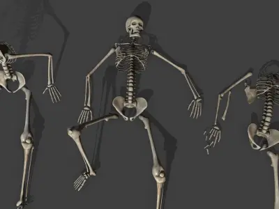 Dungeon Skeletons and Bones  Low-poly 3D model