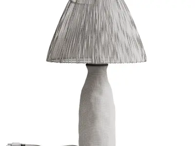 Diy Terracotta Lamp With Raffia Lampshade 3D model