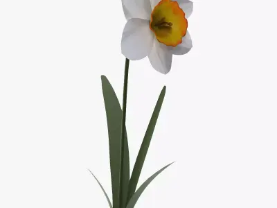 artificial flower petal da1 3D model