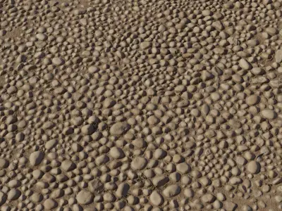 River Pebble Setts in Packed Sand PBR Texture Texture