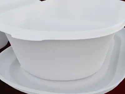 Styrofoam Disposable - Food Container 3D model