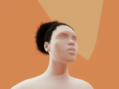 Pony Puff Black Hair 3D model