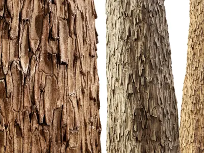 Bark 02 - Seamless Texture