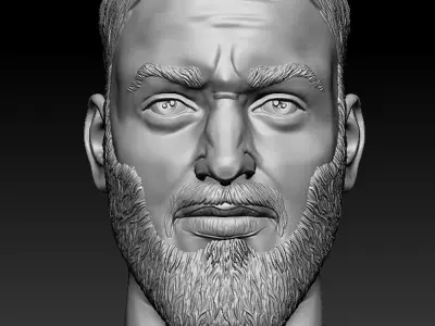 Male head sculpt human hair beard anatomy detailed  3D model