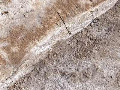 Trace of a stream 3D model