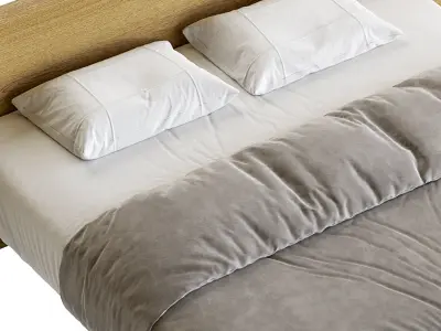 Air Wildwood Bed - Lago 3D model