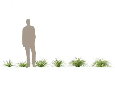 Tropical Architectural Foliage Pack 51 3D model