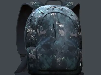 Backpack Camping Generic military human bag storqge baggage 3D model