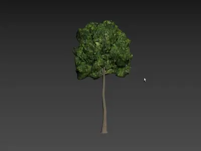 Low Poly Tree Stylish Low-poly 3D model