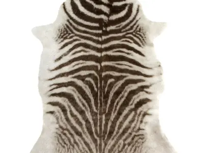 Zebra Animal Print Indoor Rug 3D model