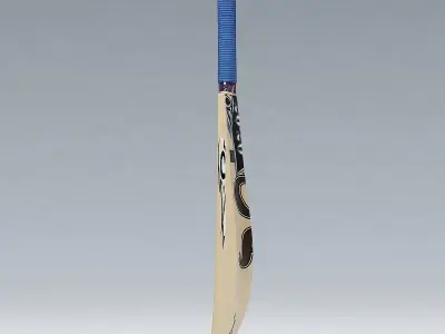 Cricket Bat CA 3D model