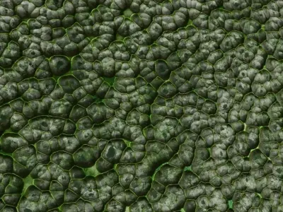 Mossy Metal Hammered PBR Seamless Texture