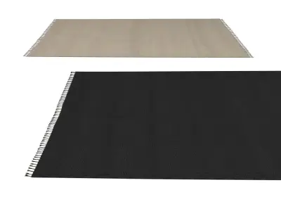 Tassels Carpet 3D model