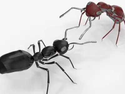Robot ants 3D model